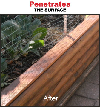 Sealer penetrates the timber surface restoring finish